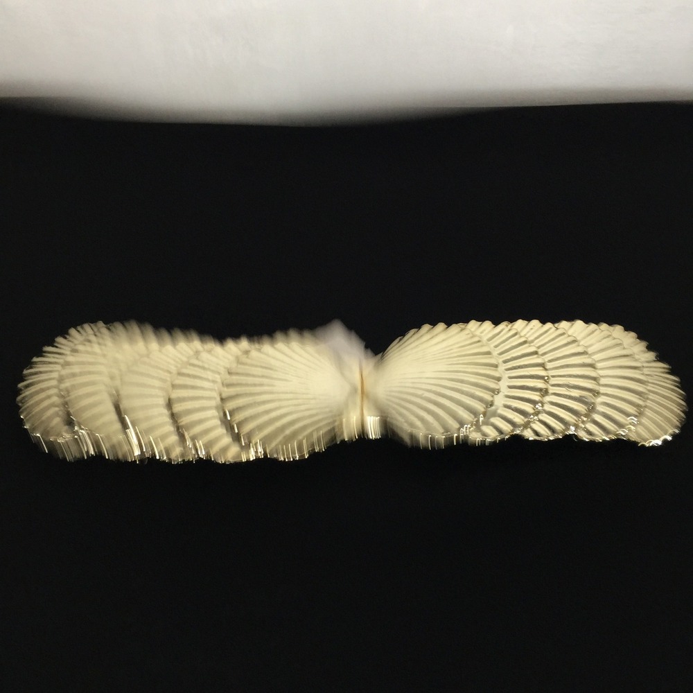 Vintage Gold Seashell Clam Shell Belt One Size Metallic Coastal Nautical‎